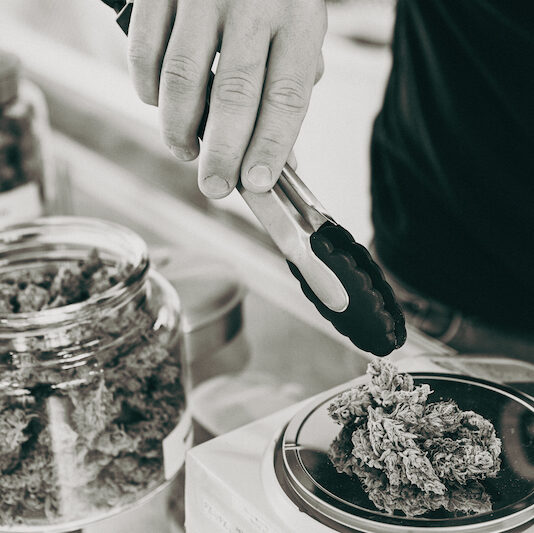 weighing cannabis flower buds dreamz dispensary