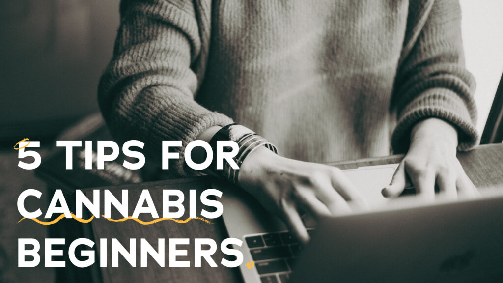 5 tips for cannabis beginners, someone typing on a computer