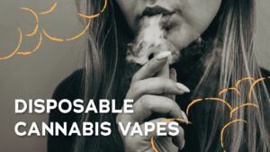 Disposable Weed Vapes: Everything You Need to Know - Dreamz